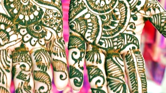 Ravi Mehandi & Makeover Artist – Jim Corbett